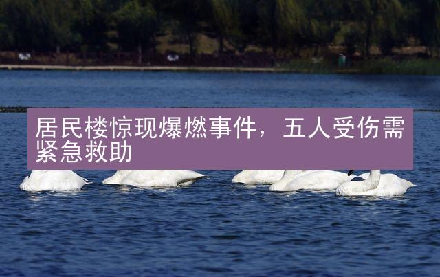 居民楼惊现爆燃事件，五人受伤需紧急救助