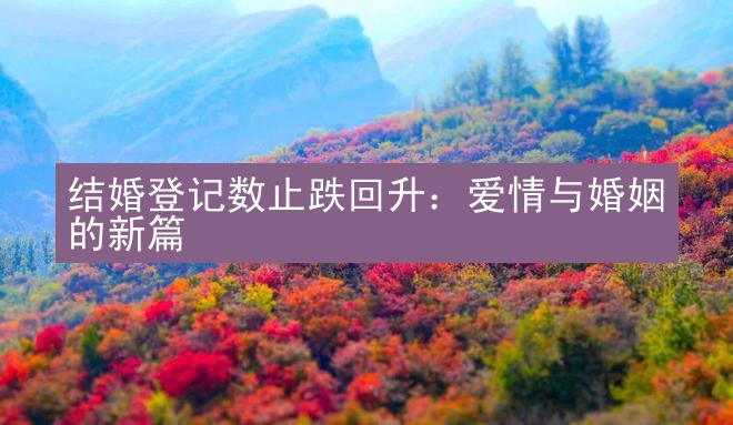 结婚登记数止跌回升：爱情与婚姻的新篇