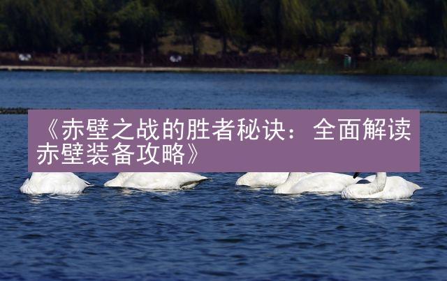 《赤壁之战的胜者秘诀：全面解读赤壁装备攻略》