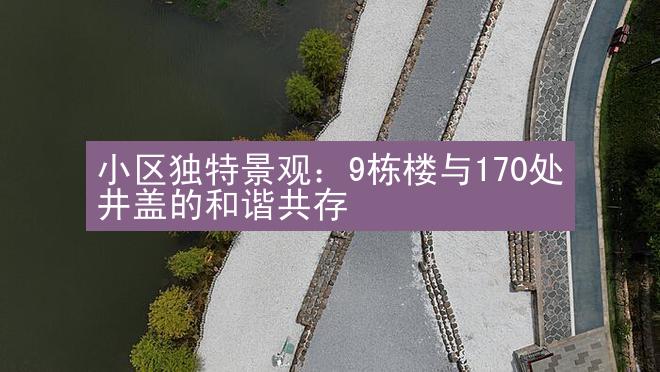 小区独特景观：9栋楼与170处井盖的和谐共存