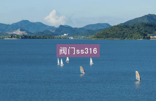 阀门ss316