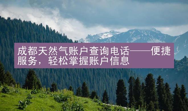 成都天然气账户查询电话——便捷服务，轻松掌握账户信息