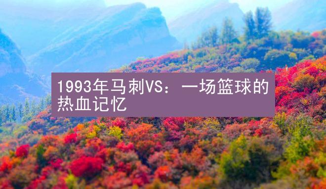 1993年马刺VS：一场篮球的热血记忆