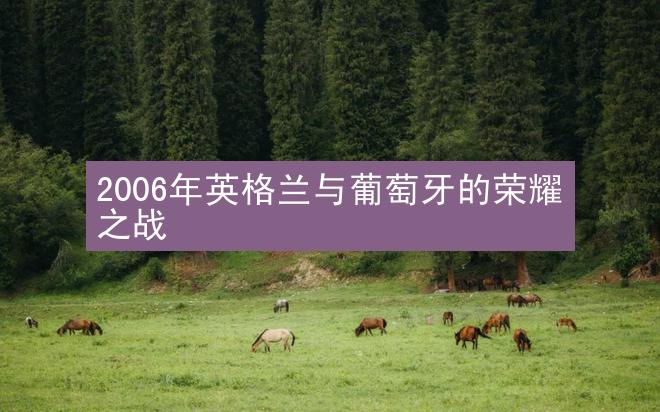 2006年英格兰与葡萄牙的荣耀之战