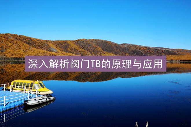 深入解析阀门TB的原理与应用