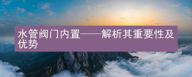 水管阀门内置——解析其重要性及优势