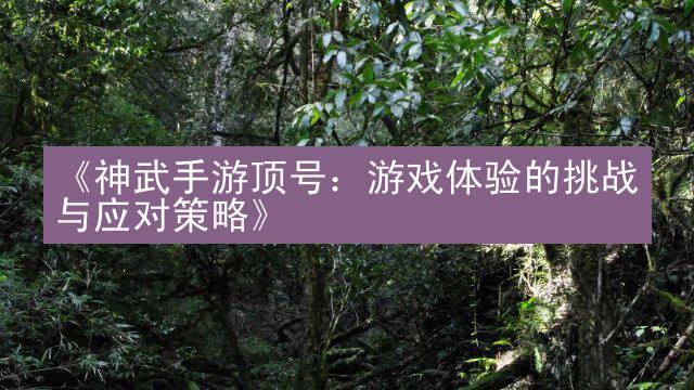 《神武手游顶号：游戏体验的挑战与应对策略》