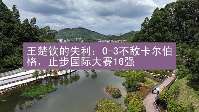 王楚钦的失利：0-3不敌卡尔伯格，止步国际大赛16强