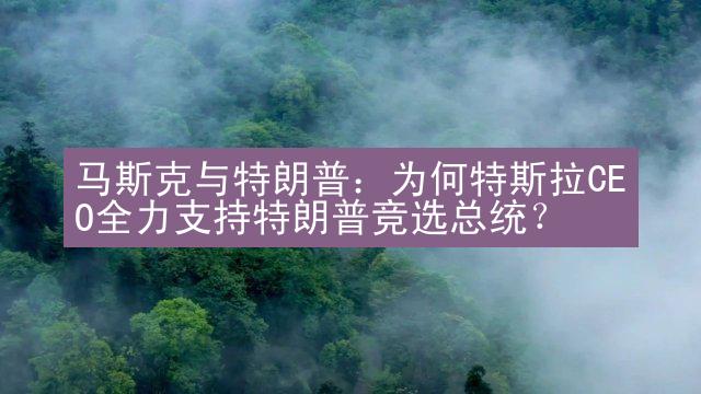 马斯克与特朗普：为何特斯拉CEO全力支持特朗普竞选总统？