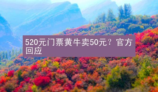 520元门票黄牛卖50元？官方回应