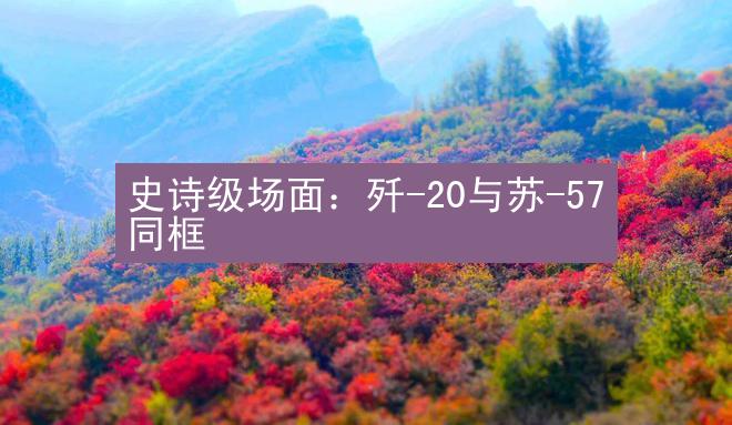 史诗级场面：歼-20与苏-57同框