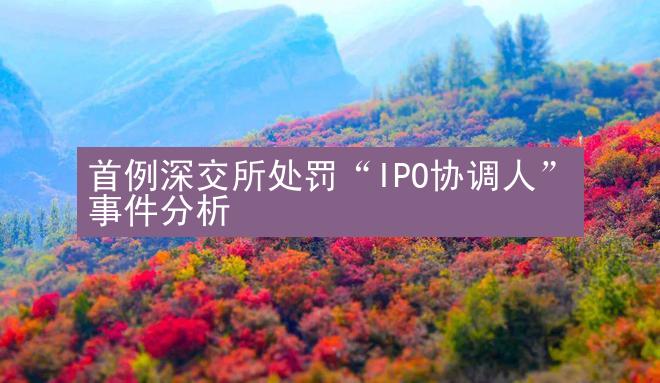 首例深交所处罚“IPO协调人”事件分析