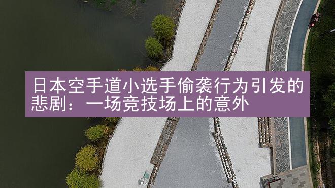 日本空手道小选手偷袭行为引发的悲剧：一场竞技场上的意外