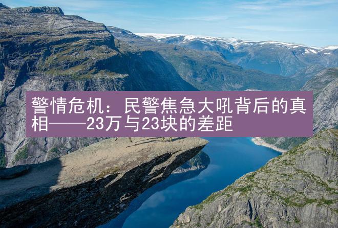 警情危机：民警焦急大吼背后的真相——23万与23块的差距