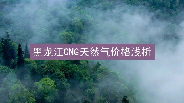 黑龙江CNG天然气价格浅析