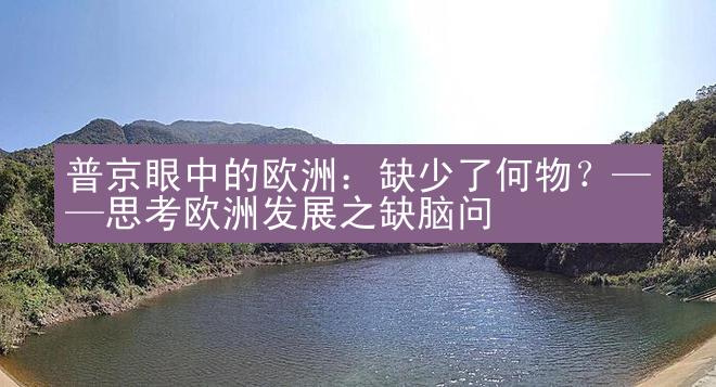 普京眼中的欧洲：缺少了何物？——思考欧洲发展之缺脑问