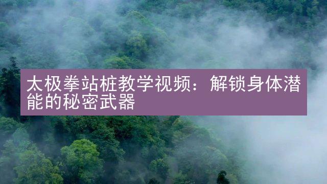 太极拳站桩教学视频：解锁身体潜能的秘密武器