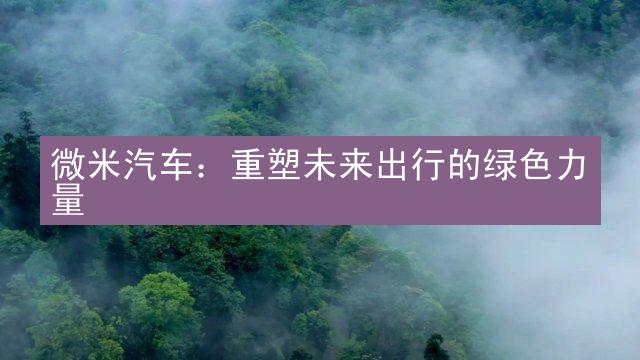 微米汽车：重塑未来出行的绿色力量