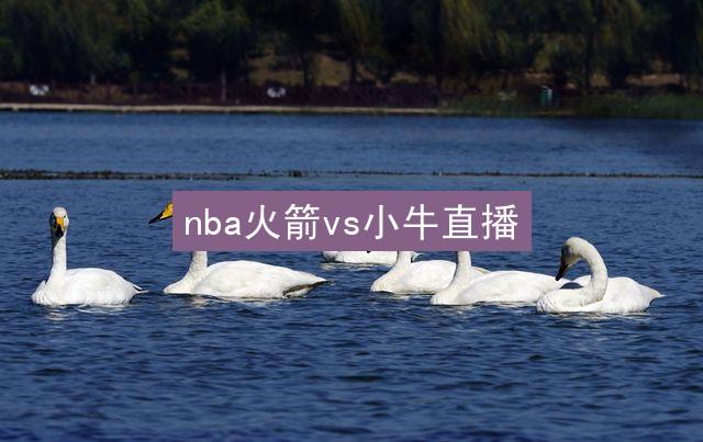 nba火箭vs小牛直播