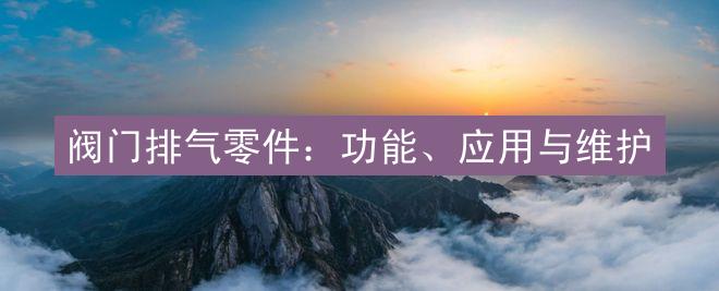 阀门排气零件：功能、应用与维护