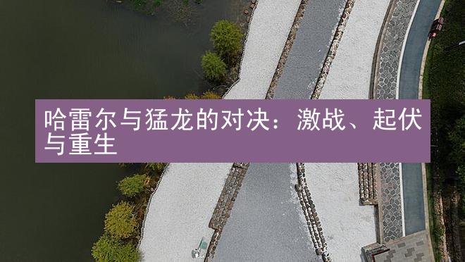 哈雷尔与猛龙的对决：激战、起伏与重生