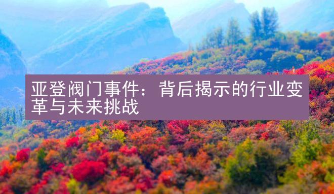 亚登阀门事件：背后揭示的行业变革与未来挑战