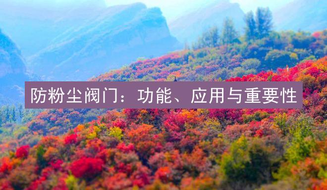 防粉尘阀门：功能、应用与重要性