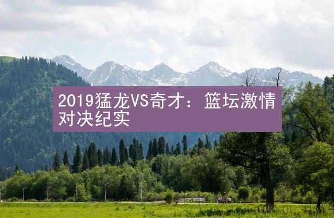 2019猛龙VS奇才：篮坛激情对决纪实