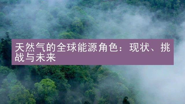 天然气的全球能源角色：现状、挑战与未来