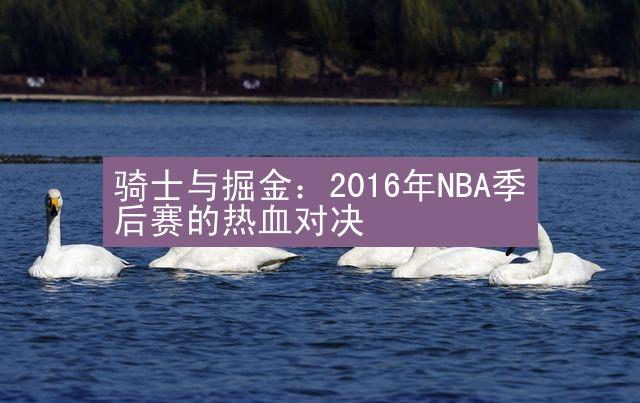 骑士与掘金：2016年NBA季后赛的热血对决