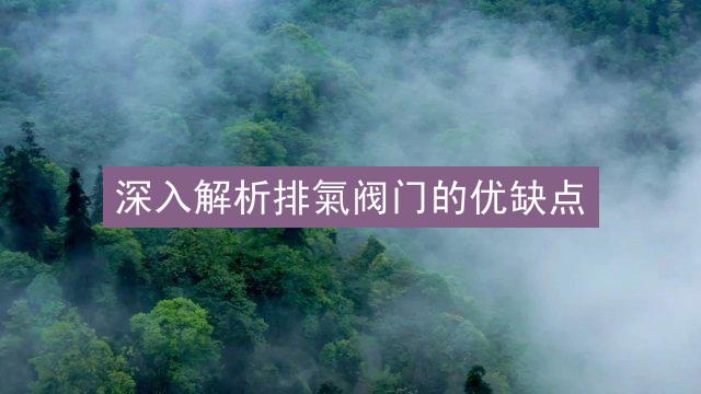 深入解析排氣阀门的优缺点